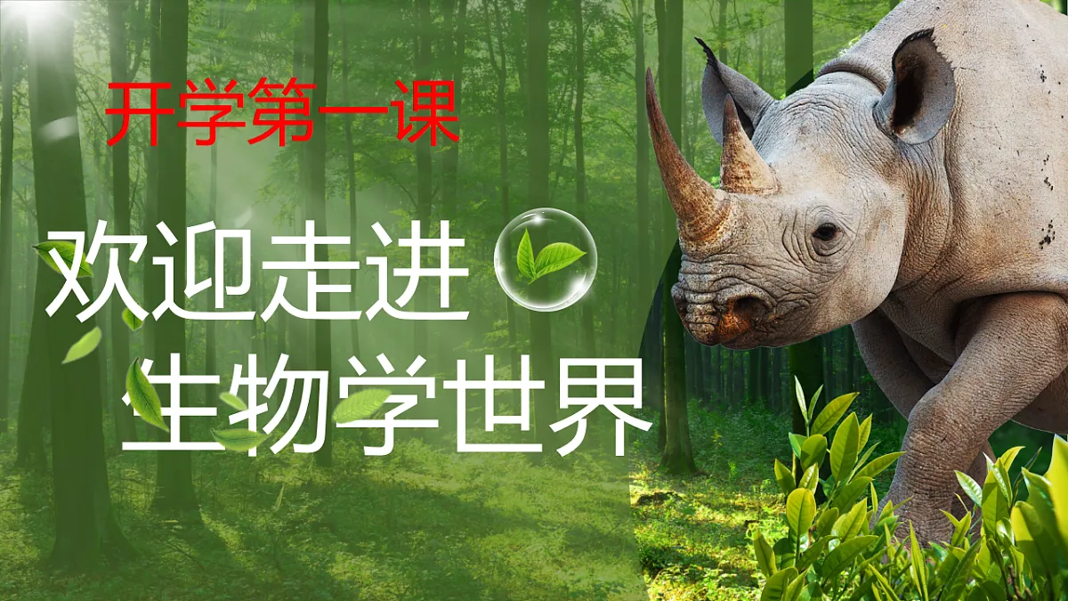 17749225第1页