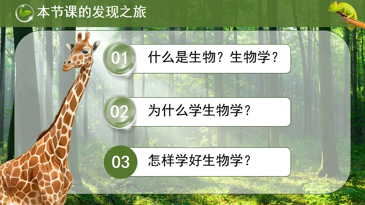 17749225第3页