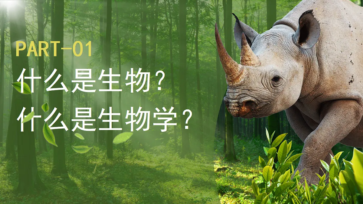 17749225第4页