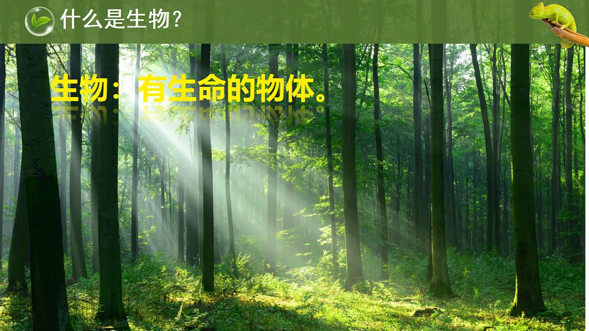17749225第5页