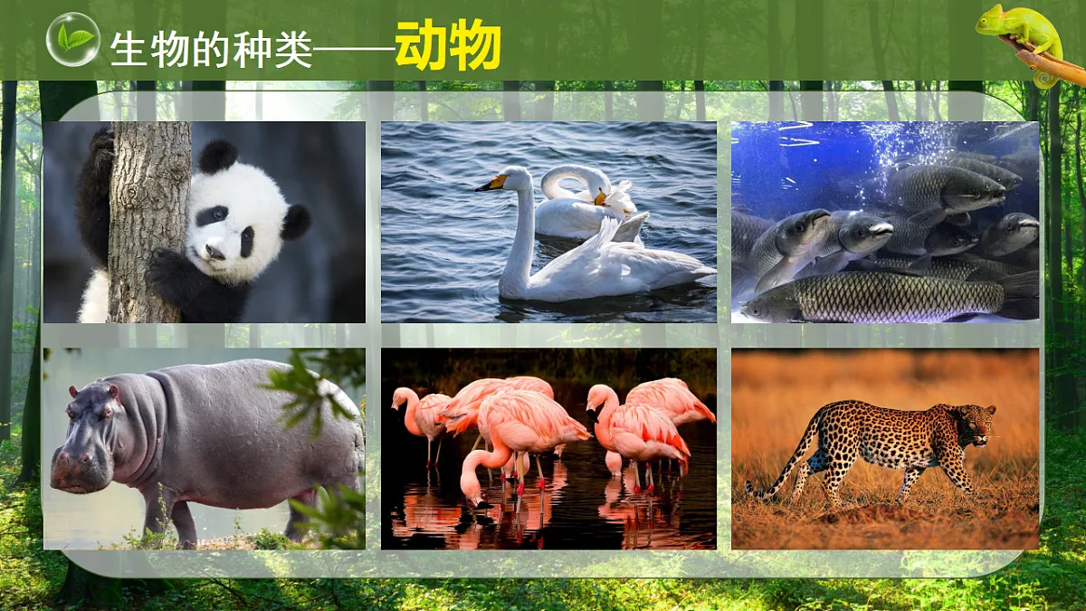 17749225第6页