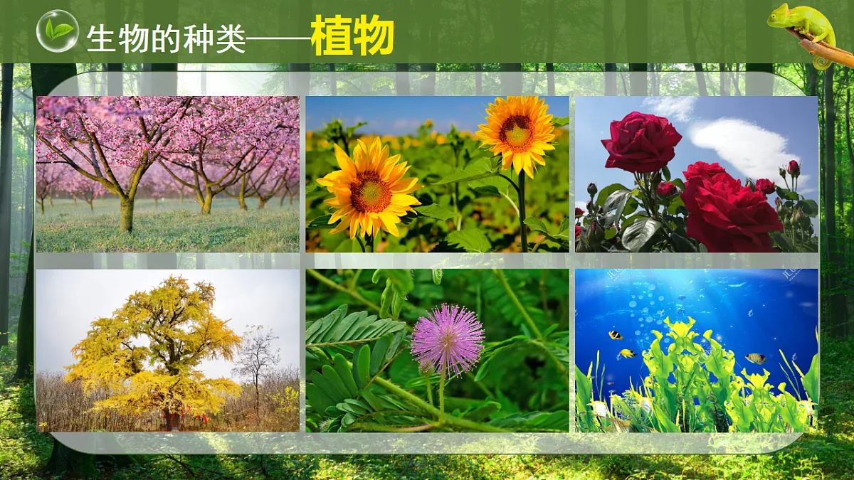 17749225第7页