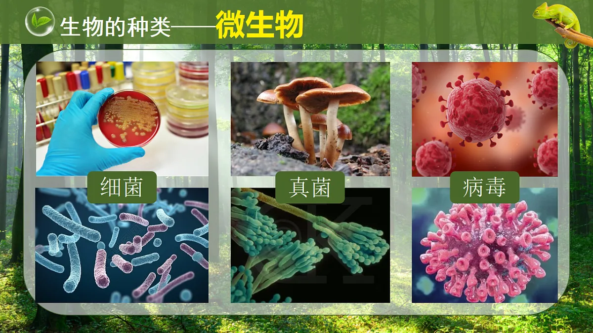 17749225第8页