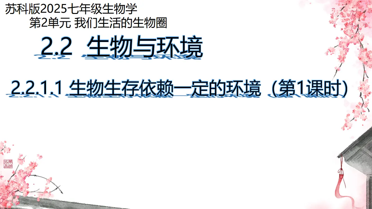 17751634第1页