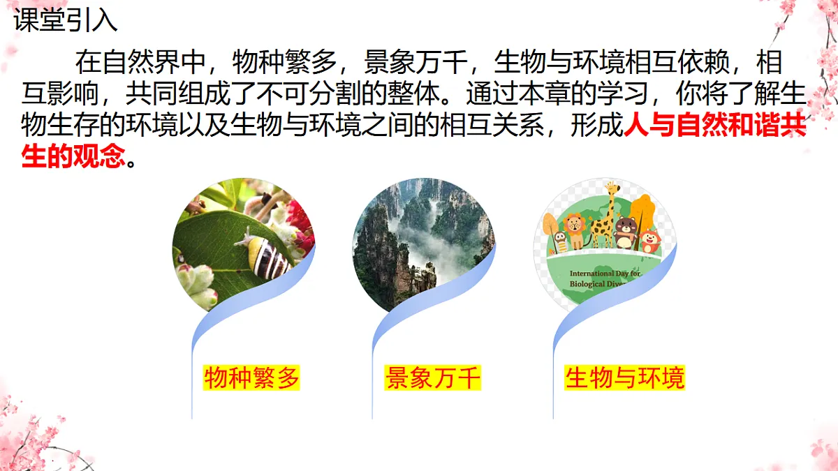 17751634第3页
