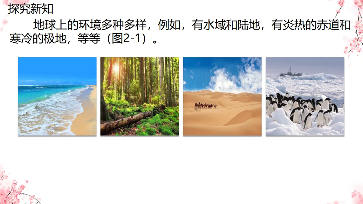 17751634第5页