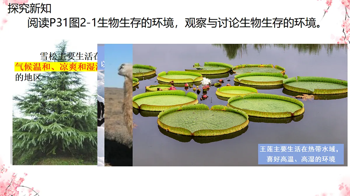 17751634第6页