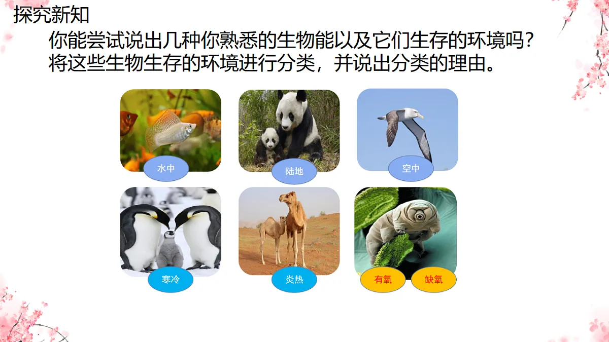 17751634第7页