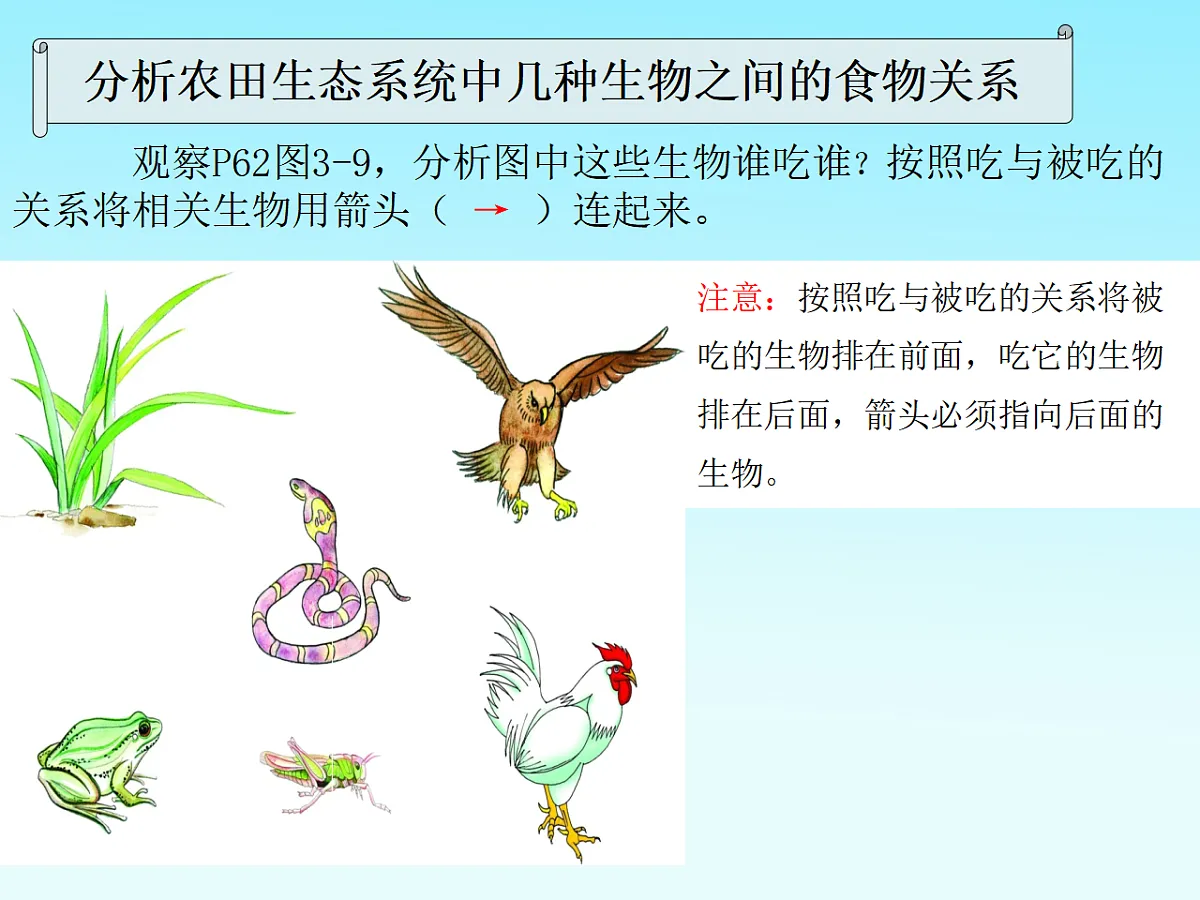 17752583第2页