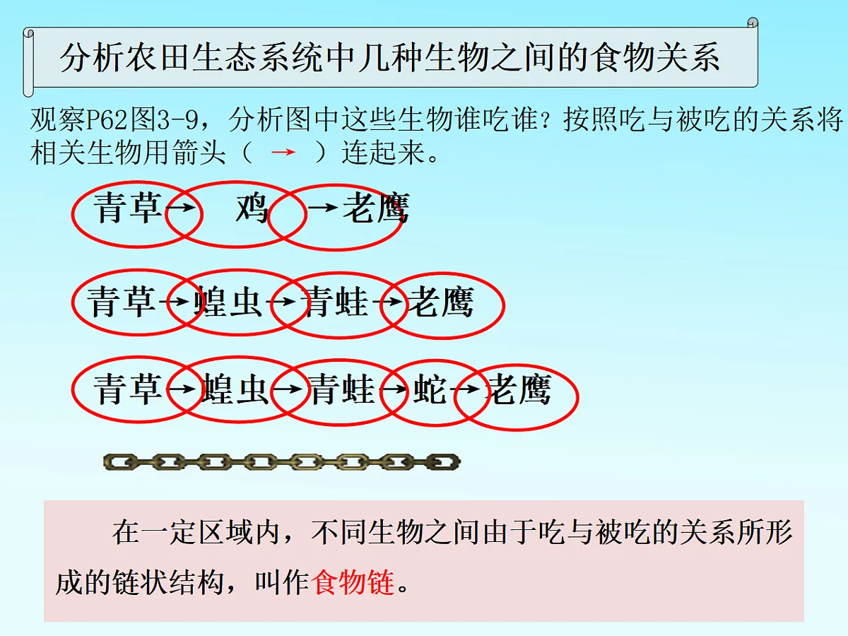 17752583第4页