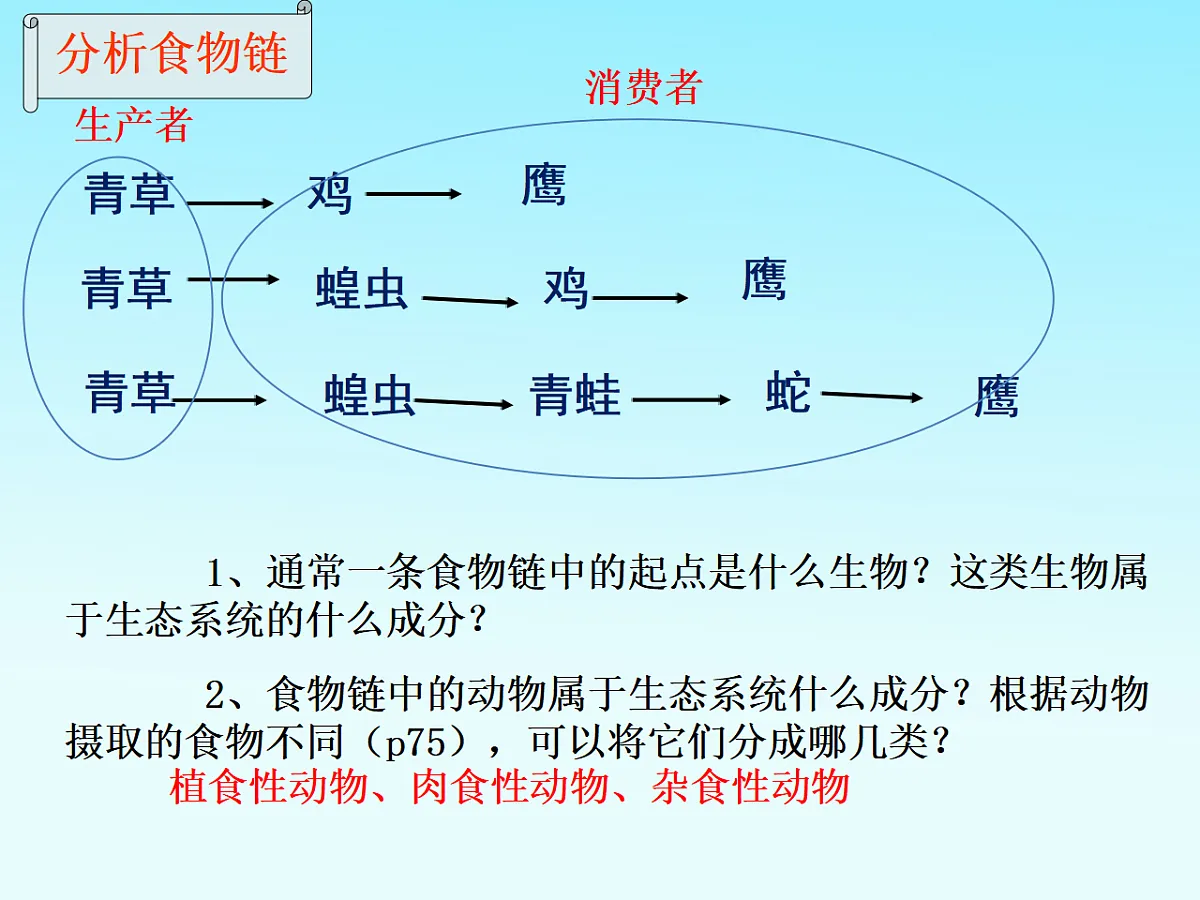 17752583第5页