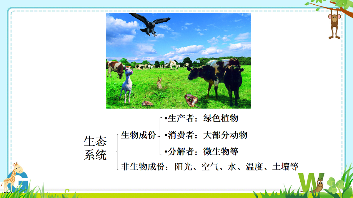 17752638第2页