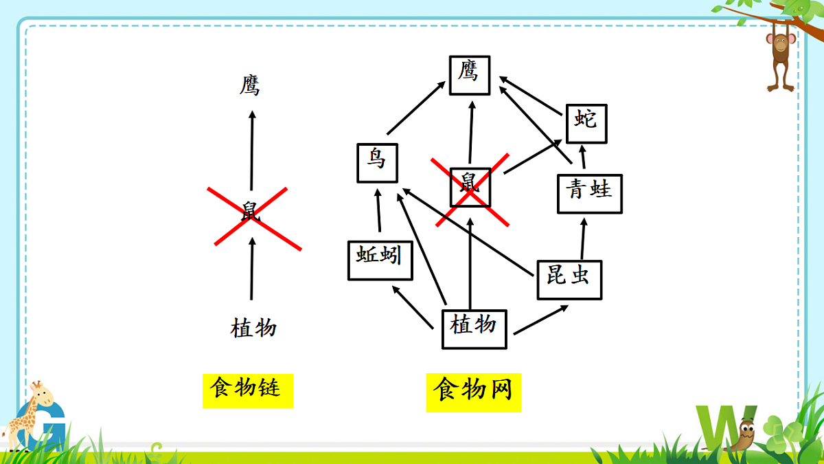 17752638第5页
