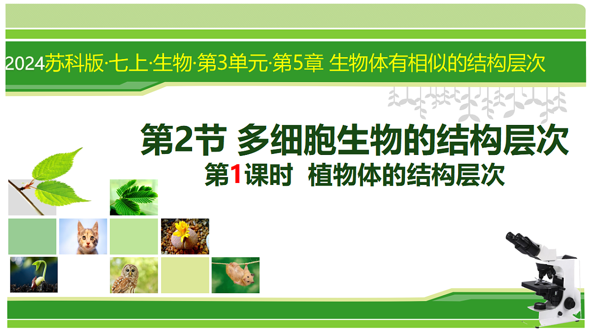 17752736第1页