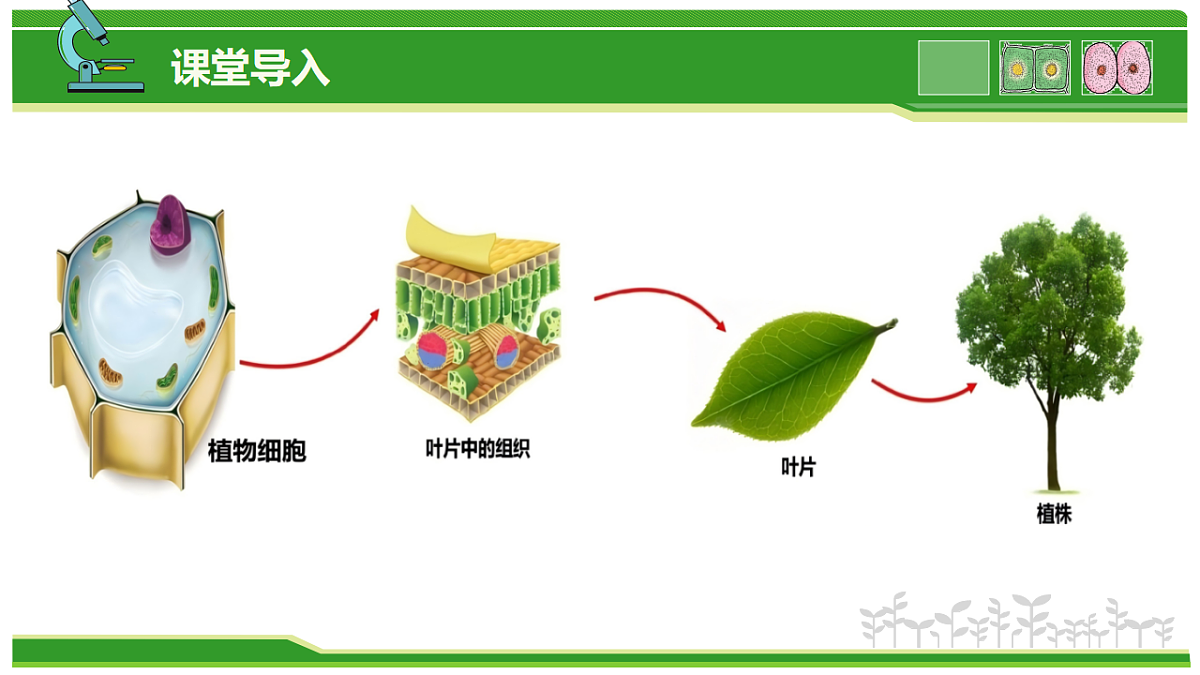 17752736第2页