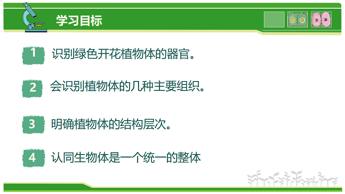 17752736第3页