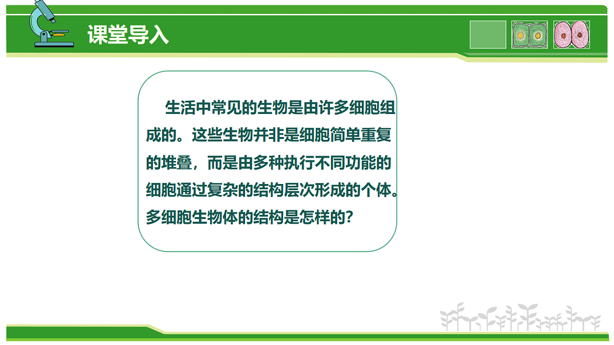 17752736第4页