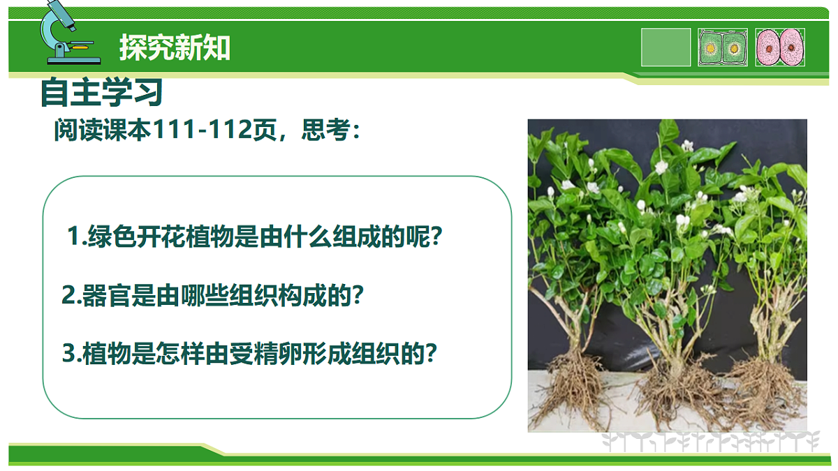 17752736第5页