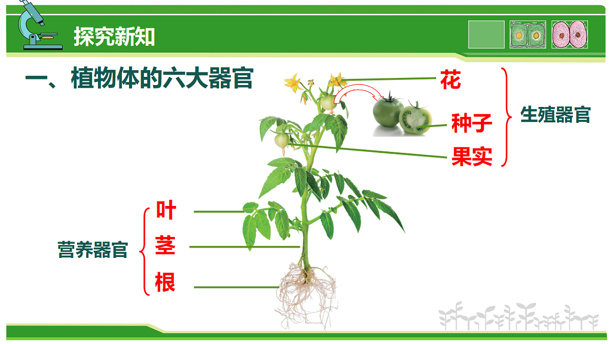 17752736第6页
