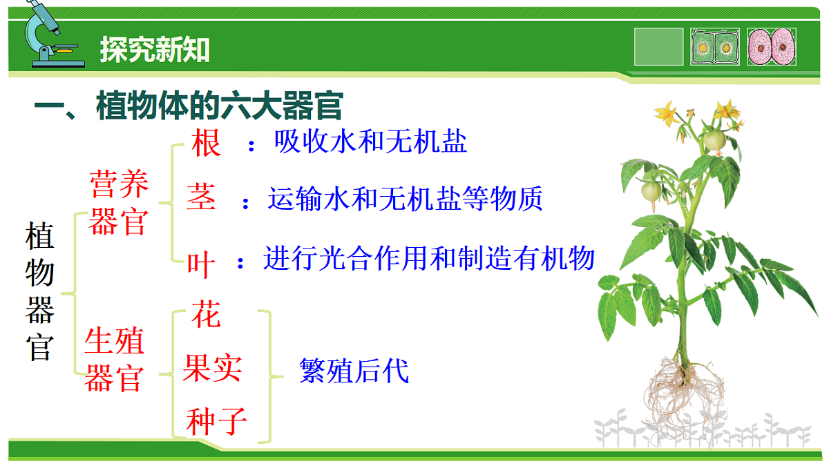 17752736第7页