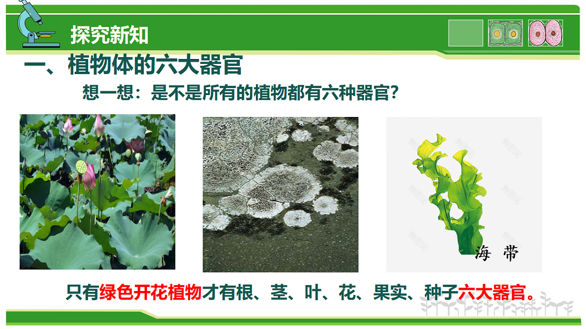 17752736第8页
