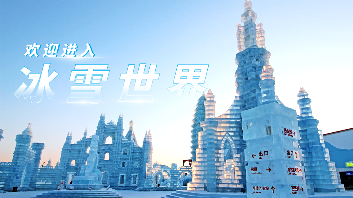 17752925第2页