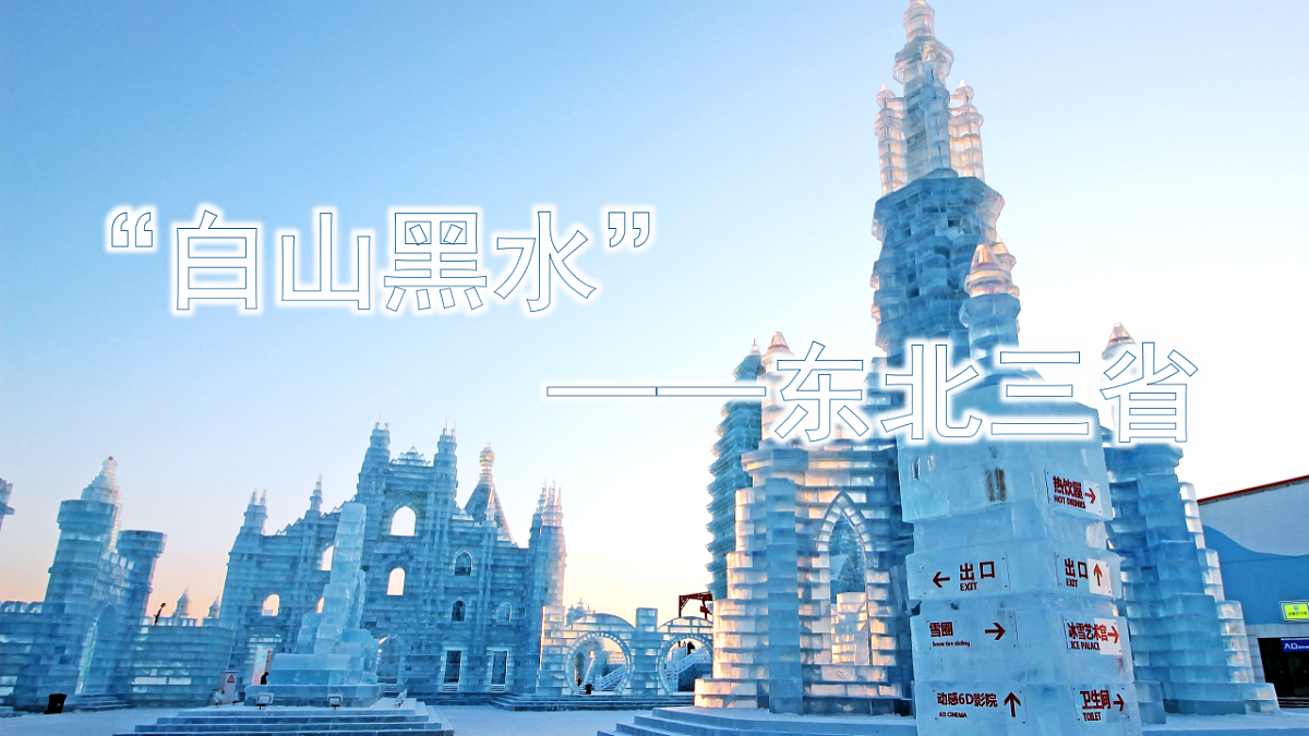 17752925第3页