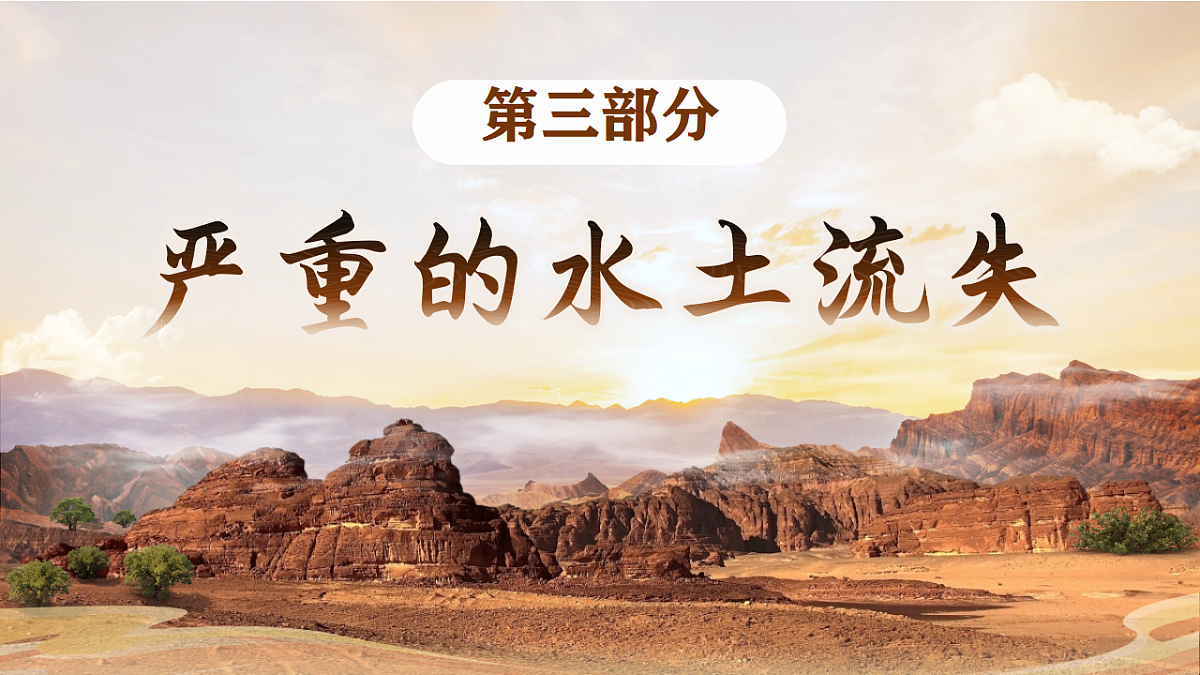 17752928第3页