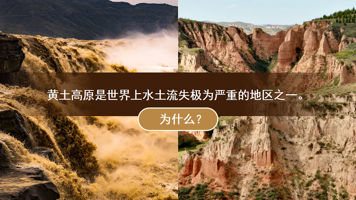 17752928第4页