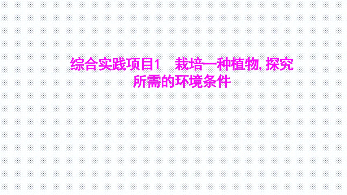 17753883第1页
