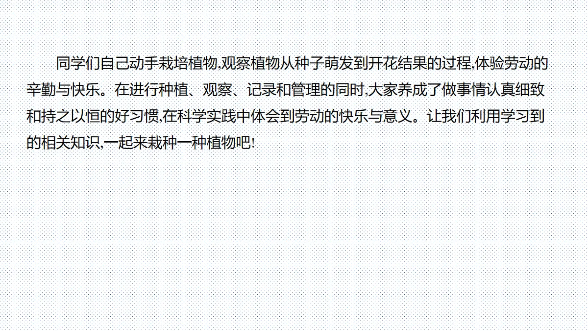 17753883第3页