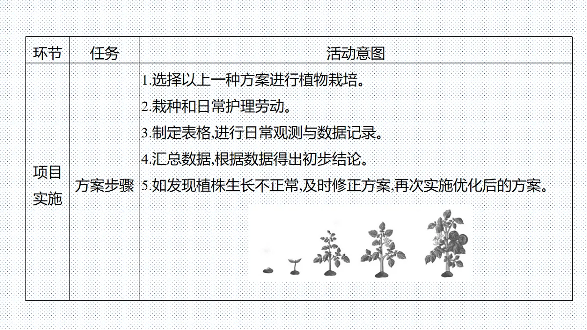 17753883第5页