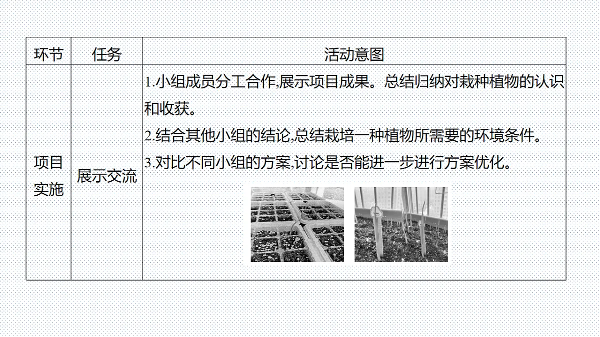 17753883第6页