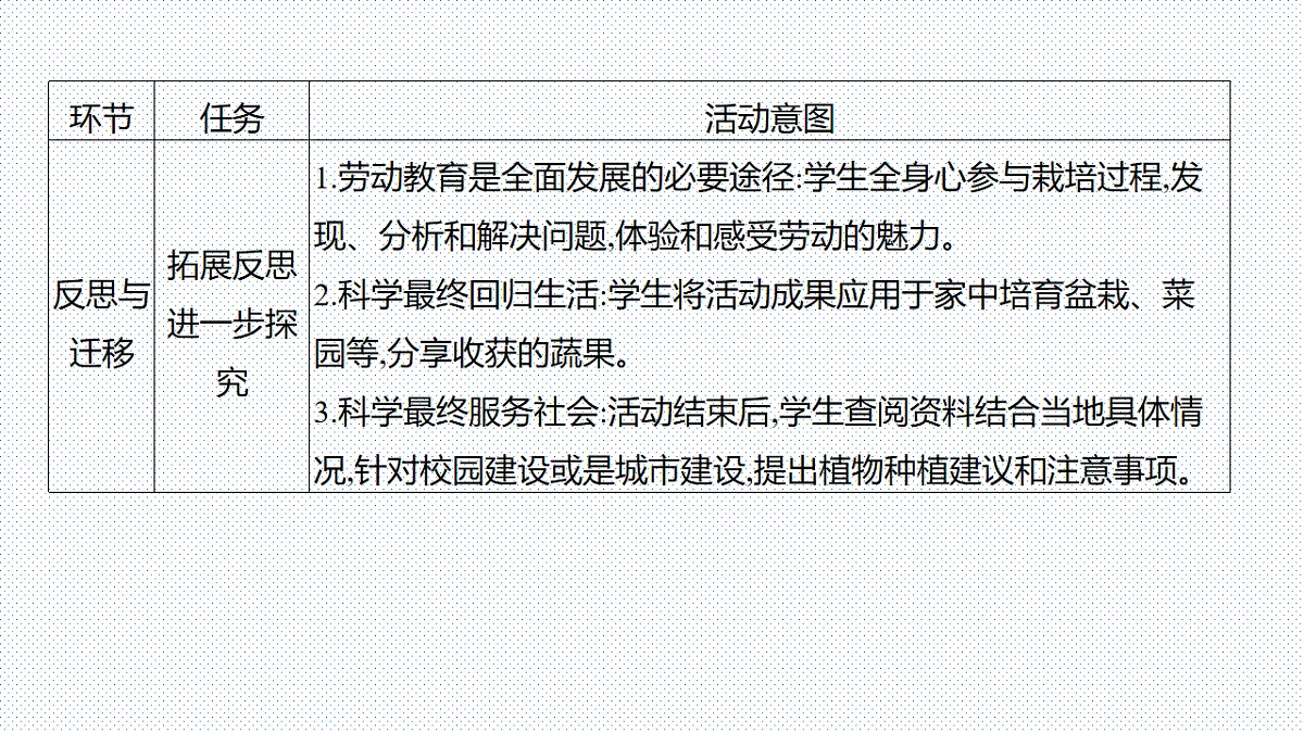 17753883第7页