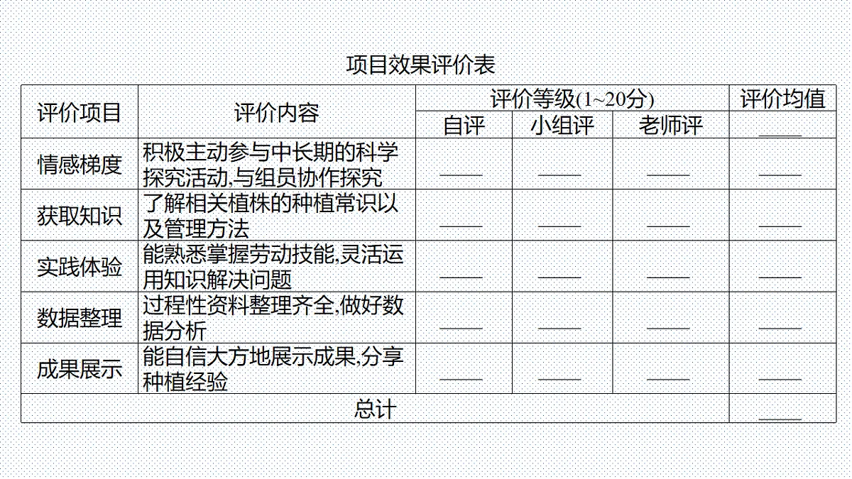 17753883第8页