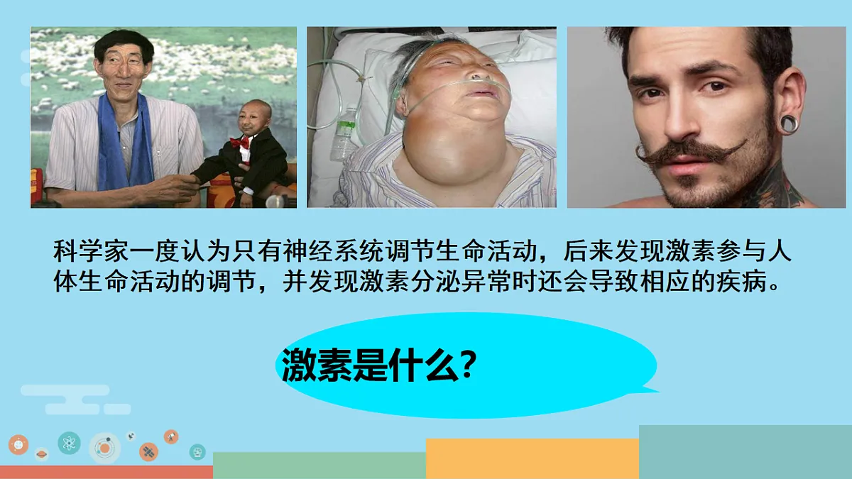 17754795第3页