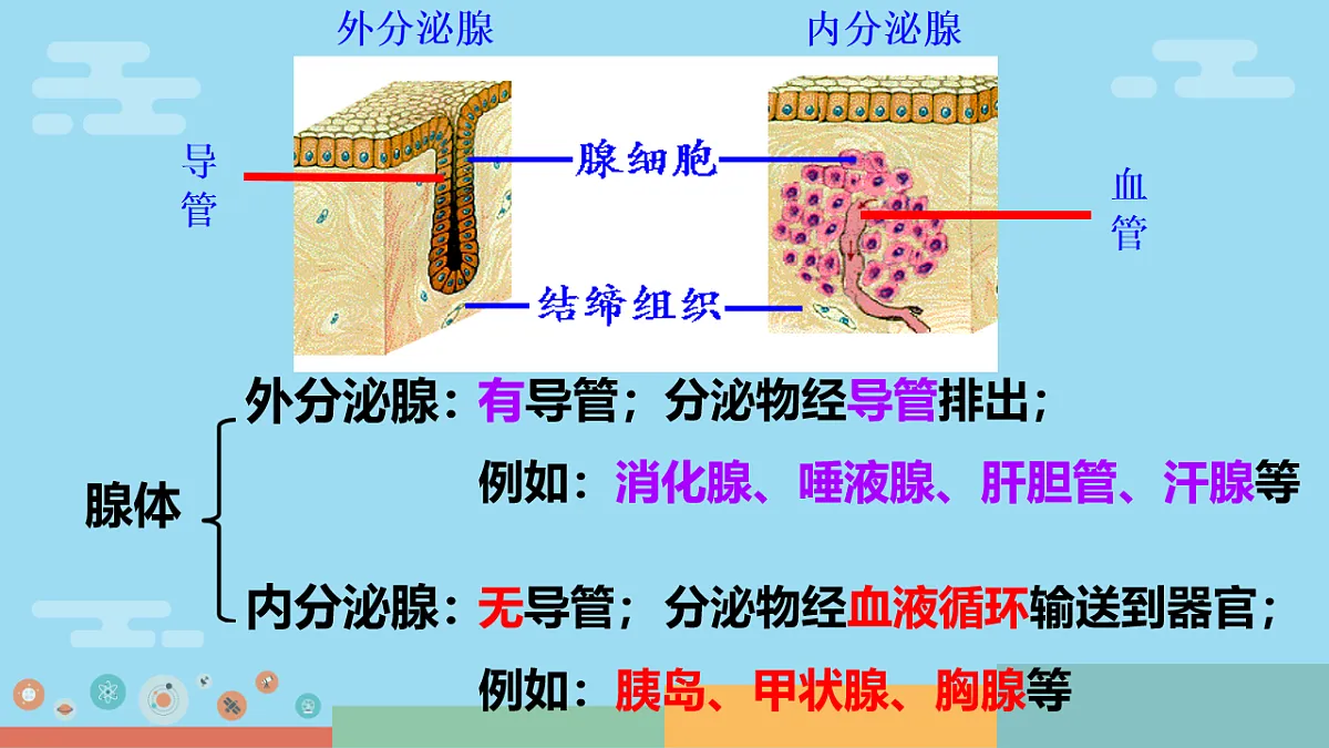 17754795第5页