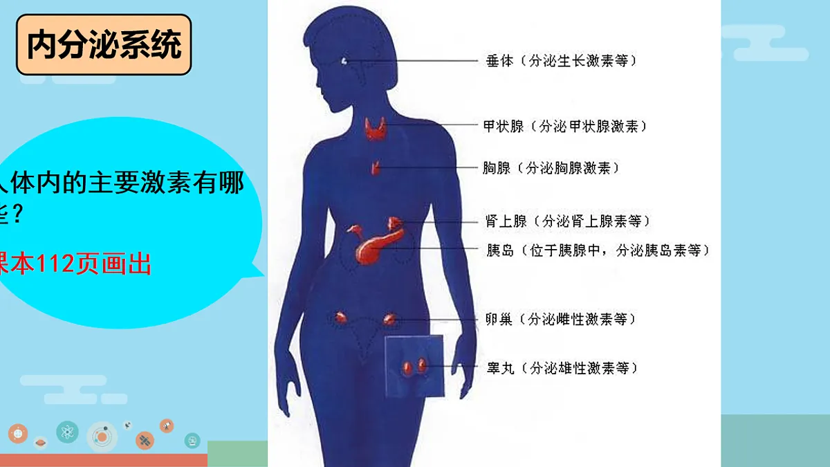 17754795第6页