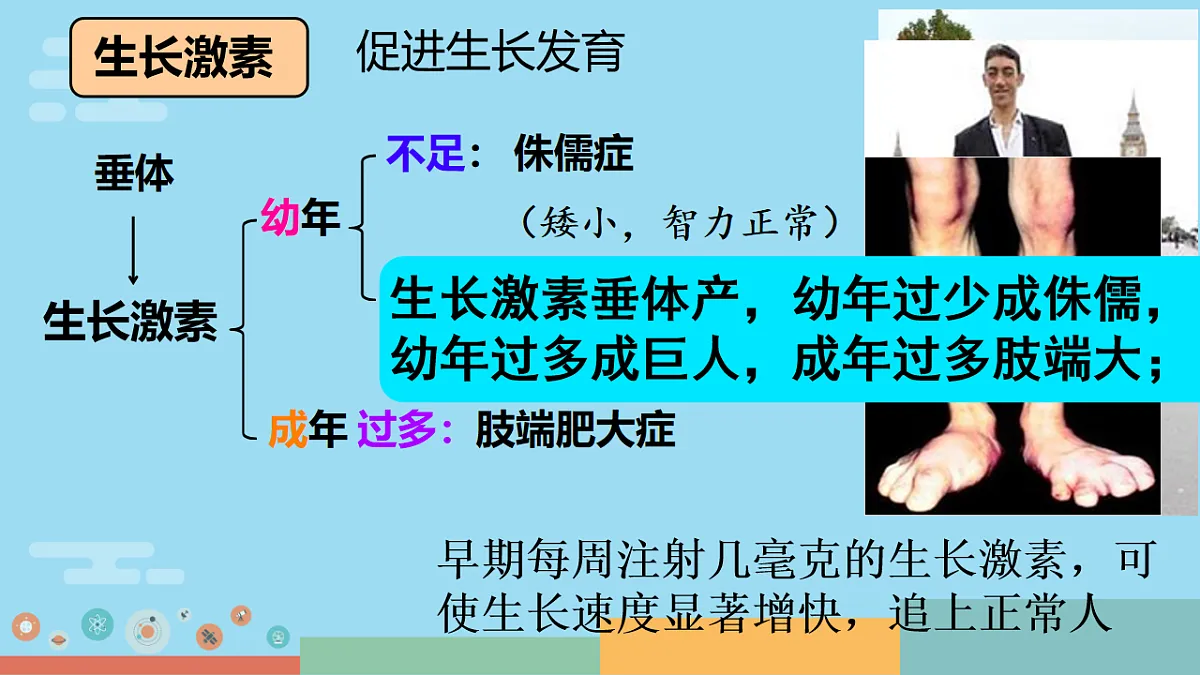 17754795第8页