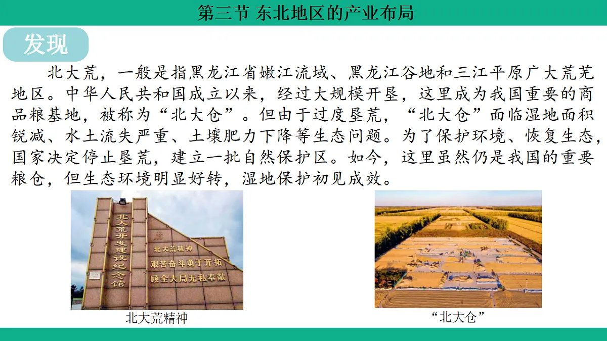 17754816第3页