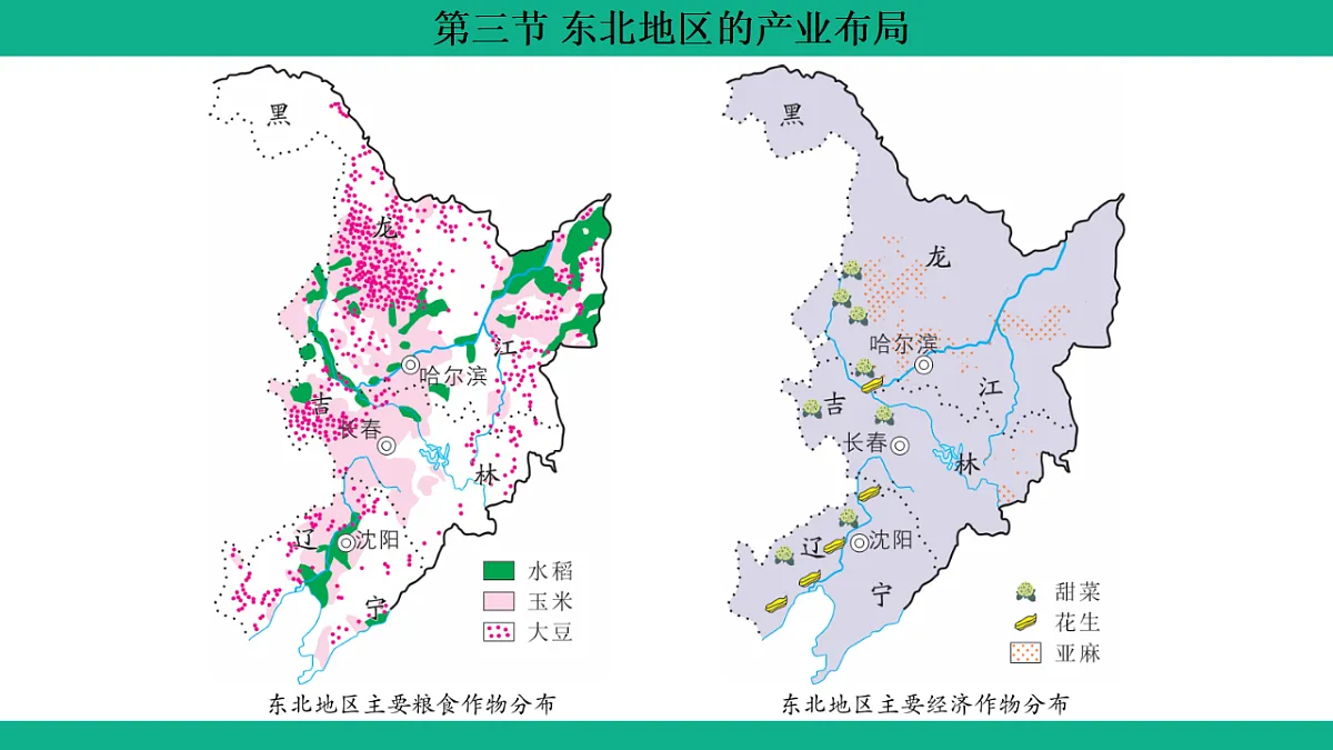 17754816第6页