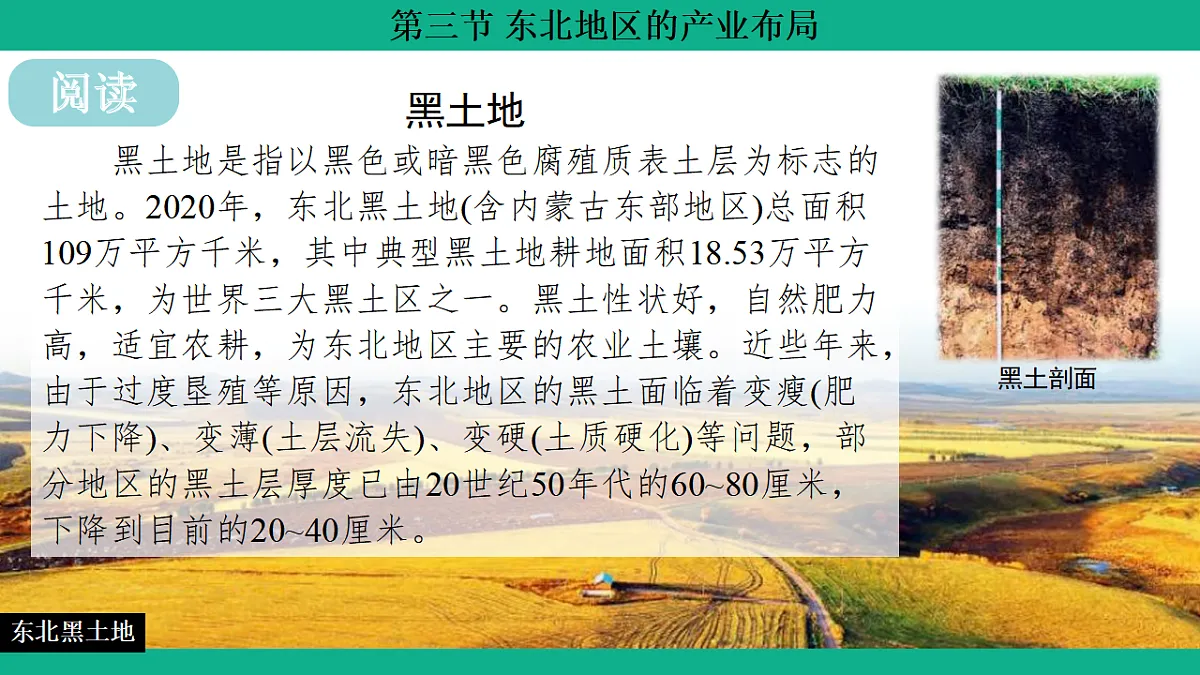 17754816第7页