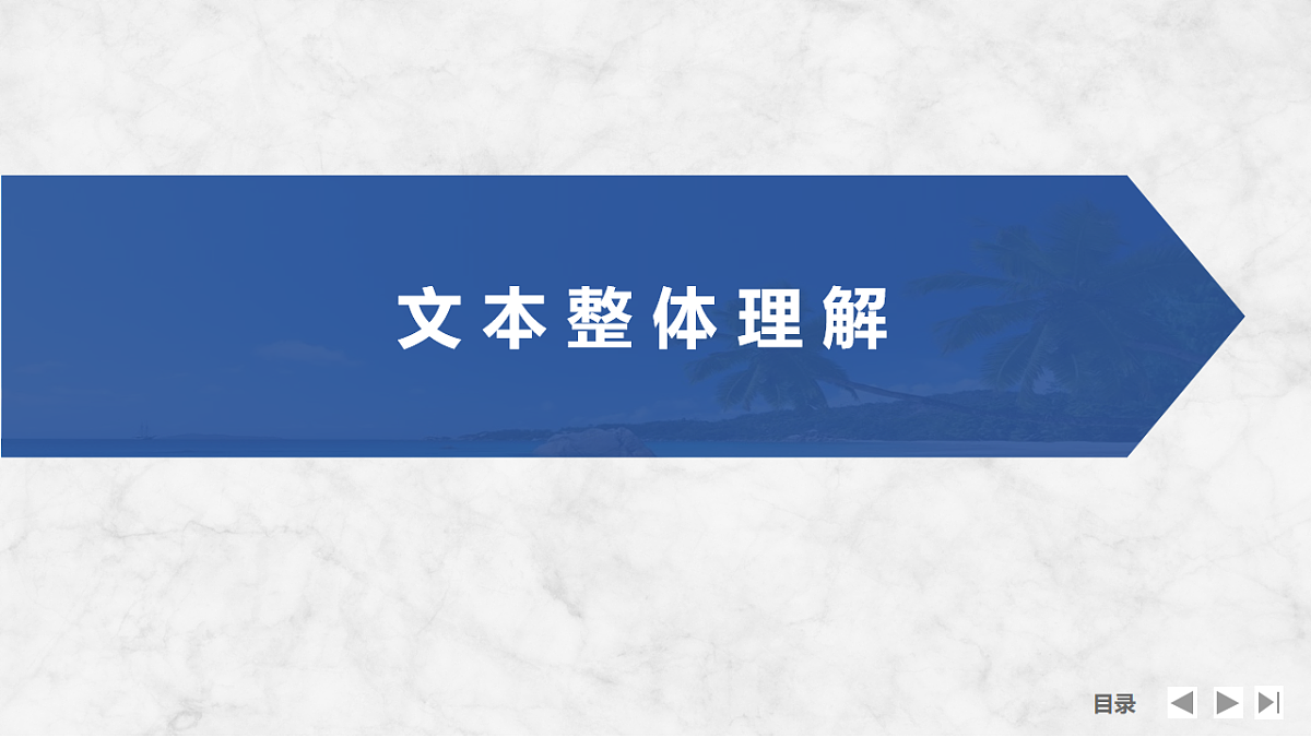 17755124第3页