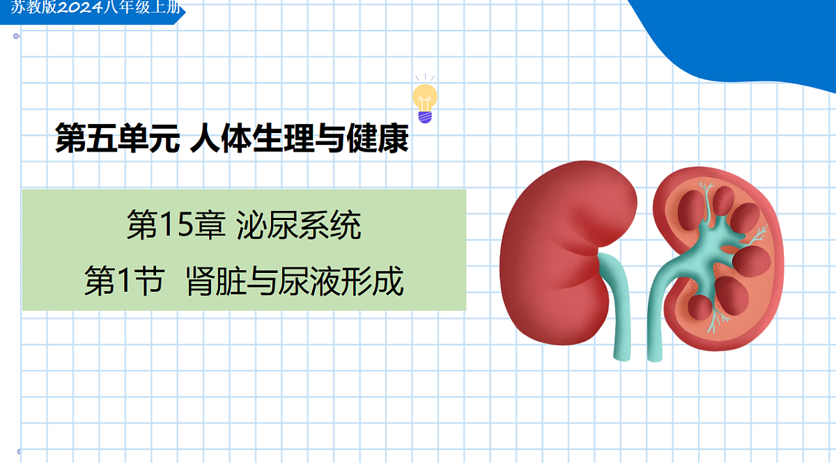 17755138第1页