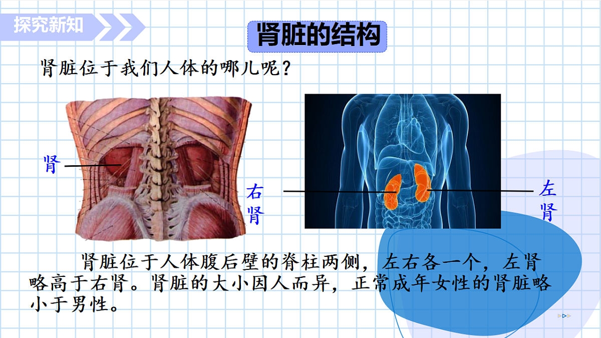 17755138第4页