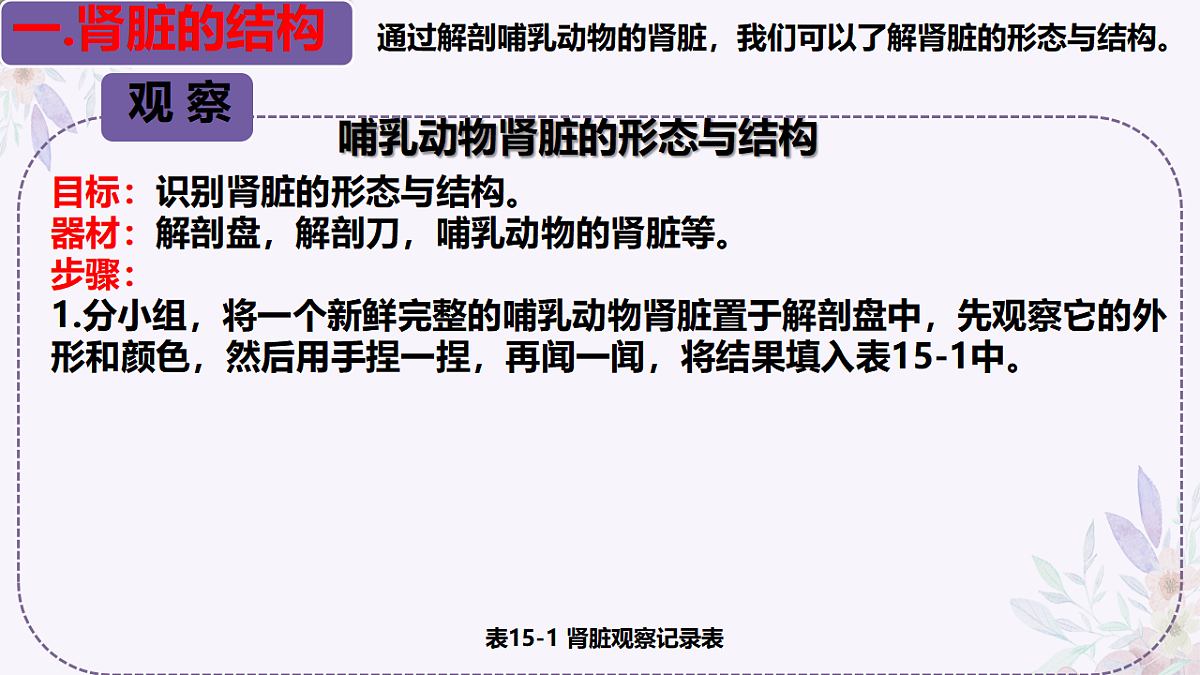 17755138第5页
