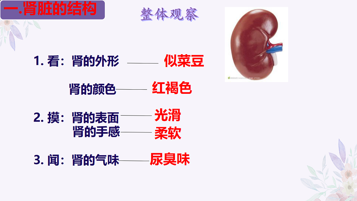 17755138第6页