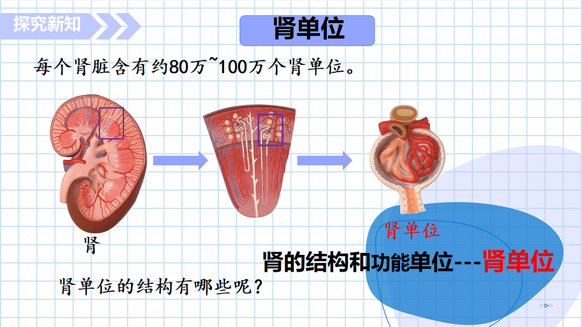 17755138第8页