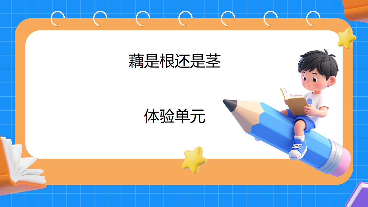 17755950第1页