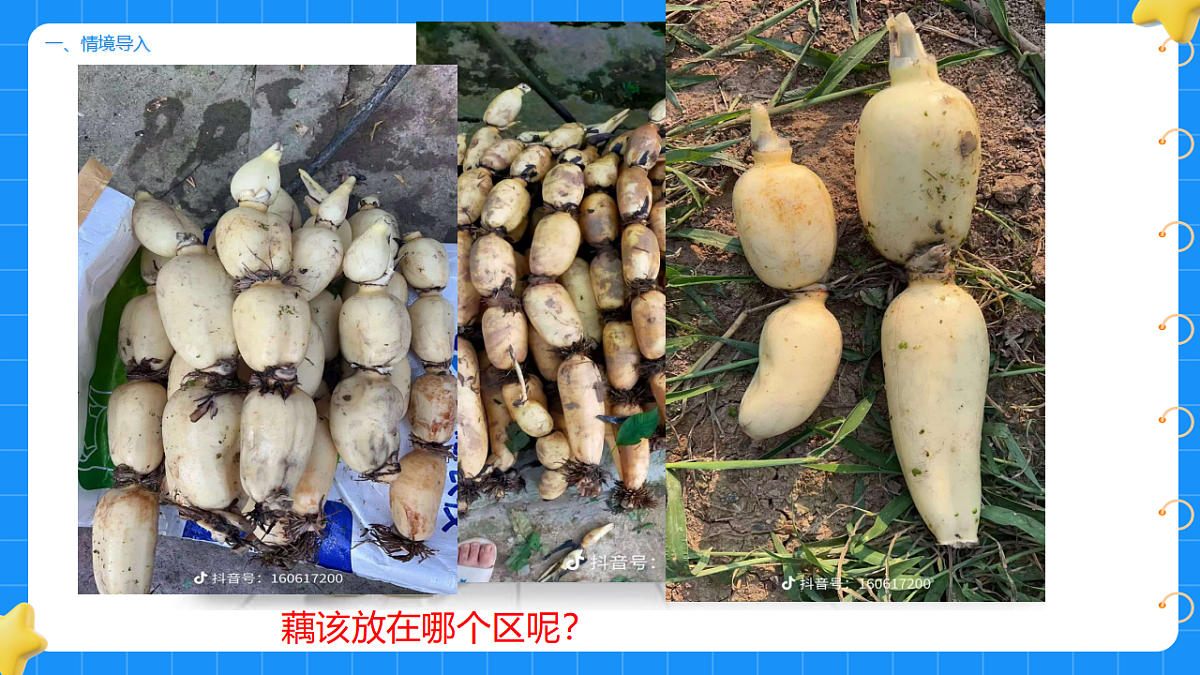 17755950第2页